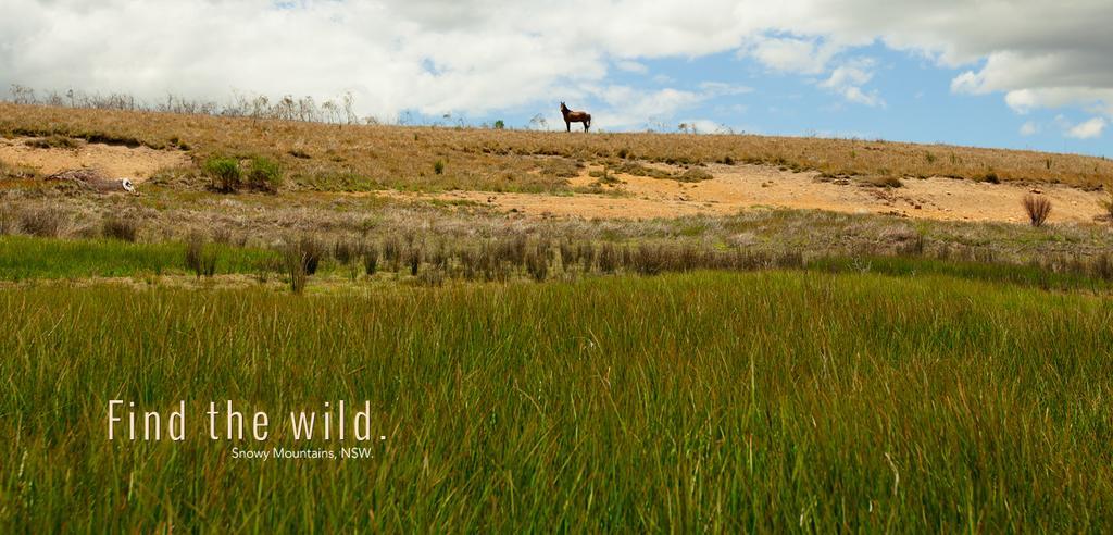 Snowy Mountains Resort And Function Centre Adaminaby Exteriér fotografie
