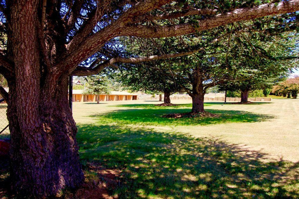 Snowy Mountains Resort And Function Centre Adaminaby Exteriér fotografie