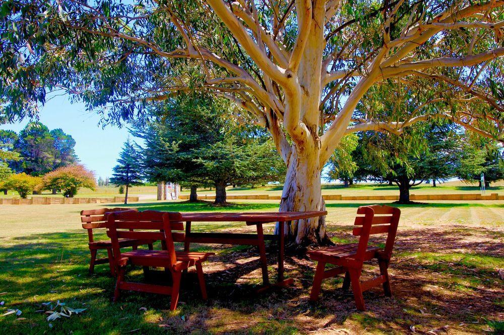 Snowy Mountains Resort And Function Centre Adaminaby Exteriér fotografie